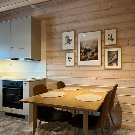 Ruka Snow&Sun1 - Near Slopes And Ski Trails, Sauna, Fireplace, Carport, Ac, Wifi, Ski Maintenance Room, Skibus *