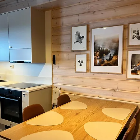 Ruka Snow & Sun 1 - Near Slopes, Sauna, Ac, Wifi, Fireplace, Carport, Grill Ruka